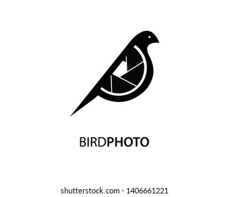 bird photo creative logo template design