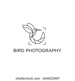 Bird Photography Outline Logo Vector