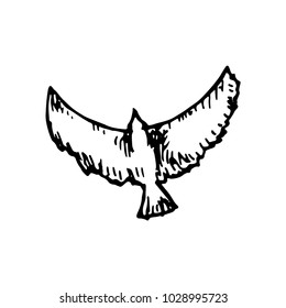 bird pigeon flies wings vector sketch isolated