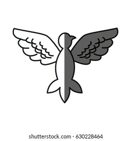 bird pigeon freedom peace wings open shadow