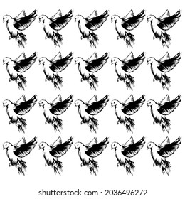 bird pigeon on a white background vector illustration