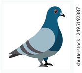 a bird pigeon vector art illustration