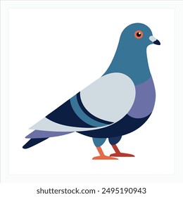 a bird pigeon vector art illustration