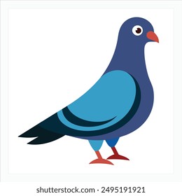 a bird pigeon vector art illustration