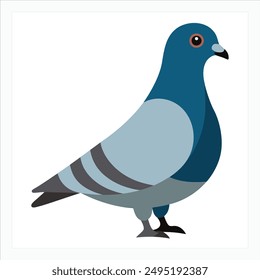 a bird pigeon vector art illustration