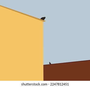 Bird or Pigeons standing on house roof building outside against blue sky background. Minimal and vintage concept.