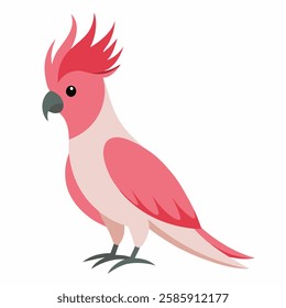 Сartoon bird a pink cockatoo parrot. Colorful exotic  parrot from Australia. Isolated on white background. Side view. Vector illustration. 