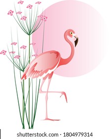 Bird pink flamingo against the big circle of sun with flowering plants nearby. Abstract vector drawing on white background for design.