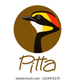 bird    pitta  head vector illustration profile view