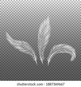 El plumaje de las aves, las plumas torcidas caen esponjosamente, las plumas de las alas de los ángeles voladores. plumas realistas.
