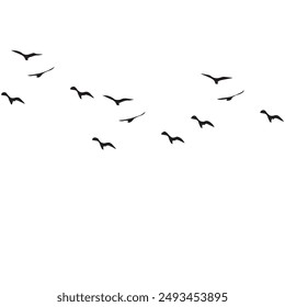 Bird Portable Network Graphics Clip art Vector set eps 10