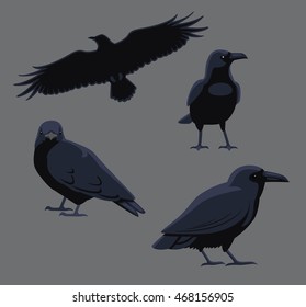 Bird Poses Common Raven Vector Illustration