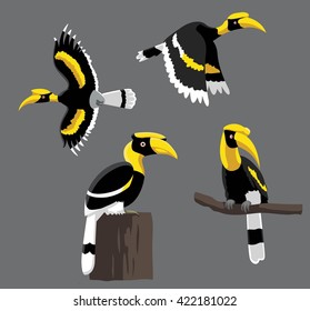 Bird Poses Great Hornbill Vector Illustration