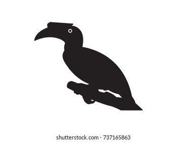 Bird Poses Great Hornbill Vector Illustration