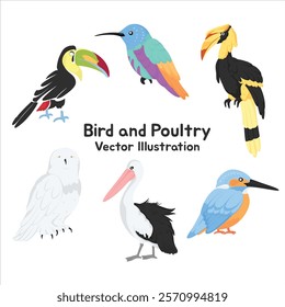 Bird and Poultry Vector Illustration Collection – Cartoon Clip Art of Colorful Birds Including Toucan, Hummingbird, Hornbill, Snowy Owl, Pelican, and Kingfisher for Nature-Inspired Graphic Designs