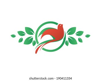 Bird of pray