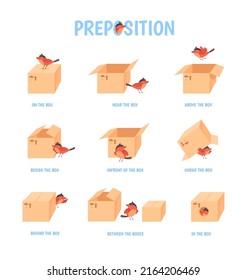 Bird preposition. Preschool education topologia, child grammar vocabulary english words around box prepositions place above below under behind up, vector illustration. Education grammar english