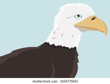 Bird of prey bald eagle retro drawing