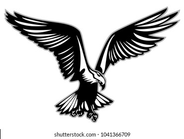 Bird of prey in flight vector illustration
