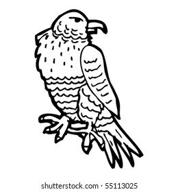 bird of prey illustration
