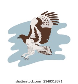 Bird of prey martial eagle. Vector flat cartoon illustration on blue brush stroke background