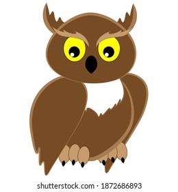 Bird of prey owl brown looks sideways isolated on white background.