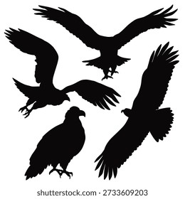 Bird of prey silhouettes, flying and standing raptor icons