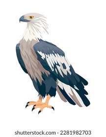 Bird of prey soars in natures sky isolated