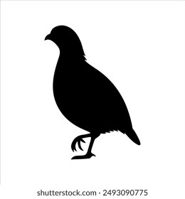 Bird of quail silhouette on white background. Quail icon vector sign illustration design.