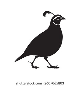 Bird of quail silhouette on white background. Quail icon vector sign illustration design