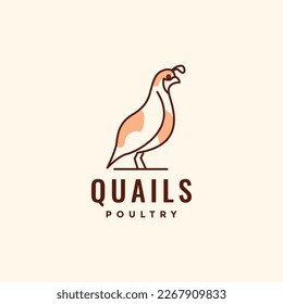 bird quails poultry little chicken meat egg lines abstract modern logo design vector icon illustration