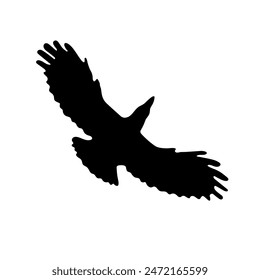 Bird Raven Crow Black Silhouette for Icon.