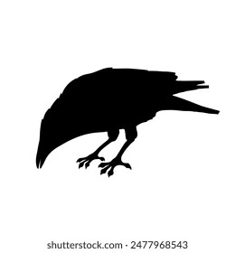 Bird Raven Crow Black Silhouette for Icon.