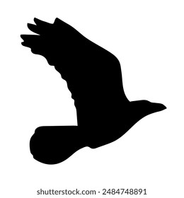 Bird Raven Crow Black Silhouette for Icon.