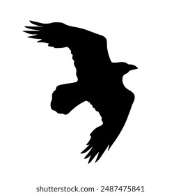 Bird Raven Crow Black Silhouette for Icon.