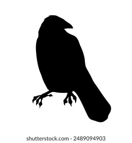 Bird Raven Crow Black Silhouette for Icon.