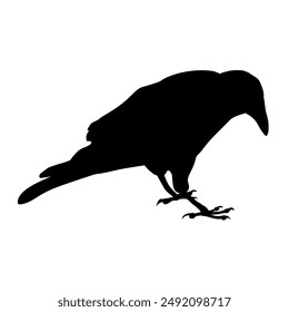 Bird Raven Crow Black Silhouette for Icon.