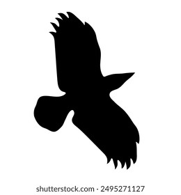 Bird Raven Crow Black Silhouette for Icon.