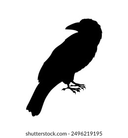 Bird Raven Crow Black Silhouette for Icon.