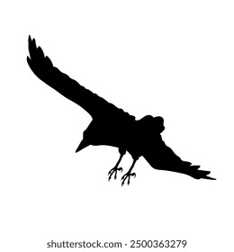 Bird Raven Crow Black Silhouette for Icon.