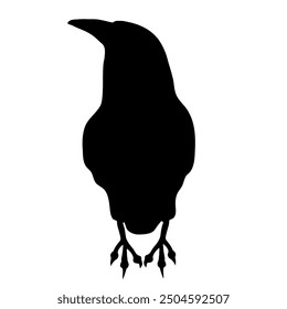 Bird Raven Crow Black Silhouette for Icon.