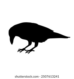 Bird Raven Crow Black Silhouette for Icon.