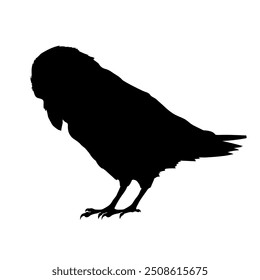 Bird Raven Crow Black Silhouette for Icon.