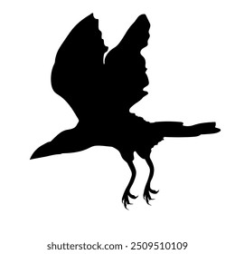 Bird Raven Crow Black Silhouette for Icon.