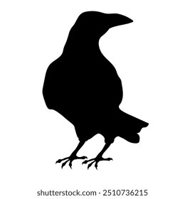 Bird Raven Crow Black Silhouette for Icon.