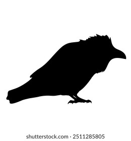 Bird Raven Crow Black Silhouette for Icon.