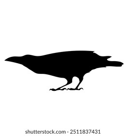 Bird Raven Crow Black Silhouette for Icon.