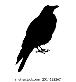 Bird Raven Crow Black Silhouette for Icon.