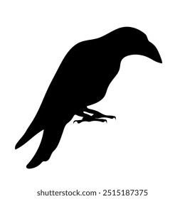 Bird Raven Crow Black Silhouette for Icon.