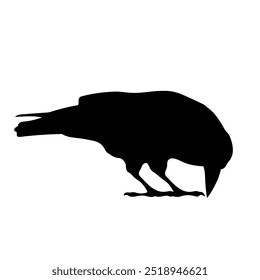 Bird Raven Crow Black Silhouette for Icon.